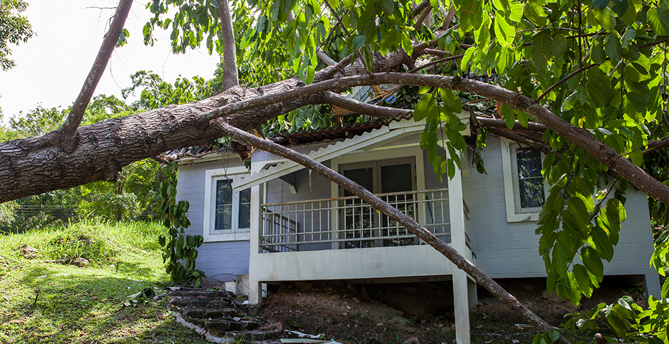 Flexanex Samlevejledning / Trotadoras 3 Belt Mechanical Machinist